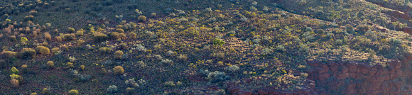 hillside panorama, Trephina Gorge, Central Australia