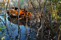 car wreck - east  point mangroves