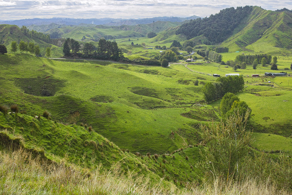 on the Forgotten Highway, NZ