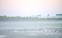 pre-dawn at knuckey lagoon