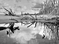 creek mouth 4, Flinders Beach