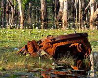 parked, girraween swamp