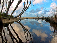 creek mouth 3, Flinders Beach